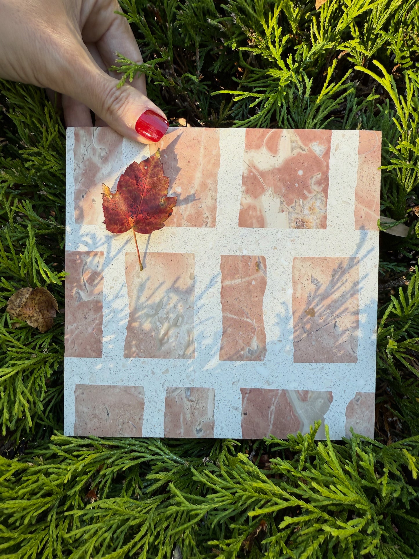 A hand with red nails holds the Carlo Scarpa-Earth tile by New York Cement Tile above green foliage in sunlight.