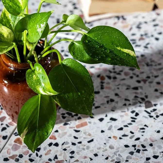 TERRAZZO 24X24 - Palm Springs