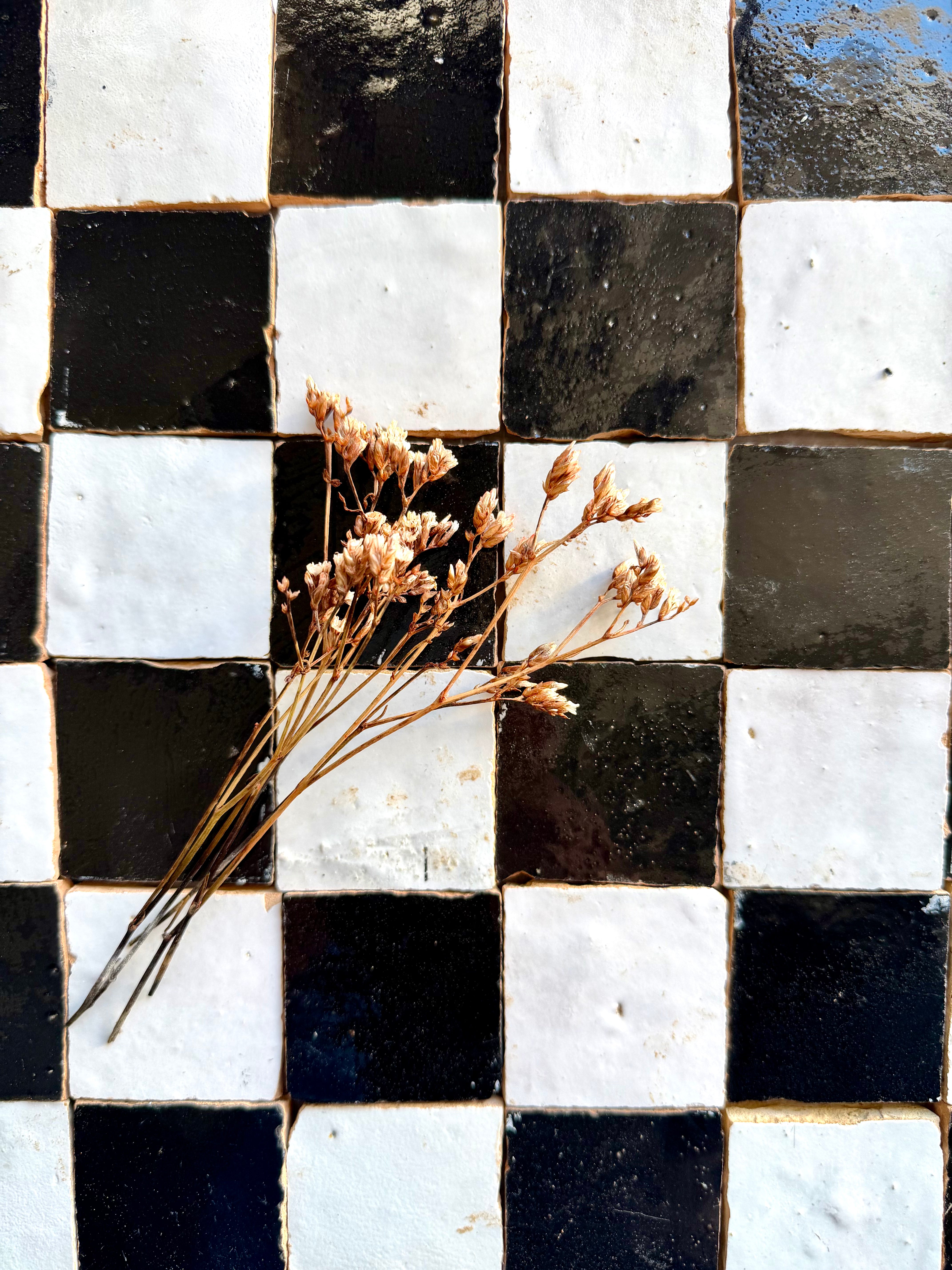 Dried flowers on a 2X2 Checkerboard Zellige in Ivory Cloud and Black by New York Cement Tile.
