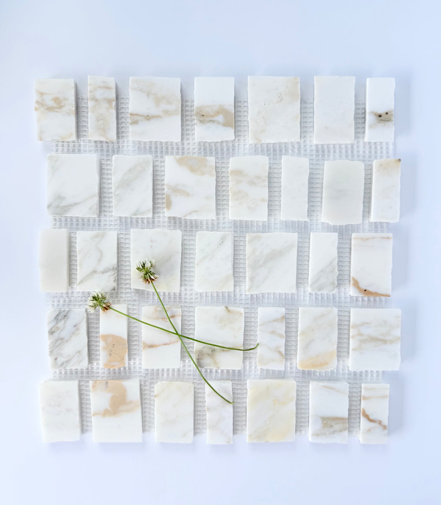 Scarpa I Calacatta Viola Mosaic Marble Mesh, Sample