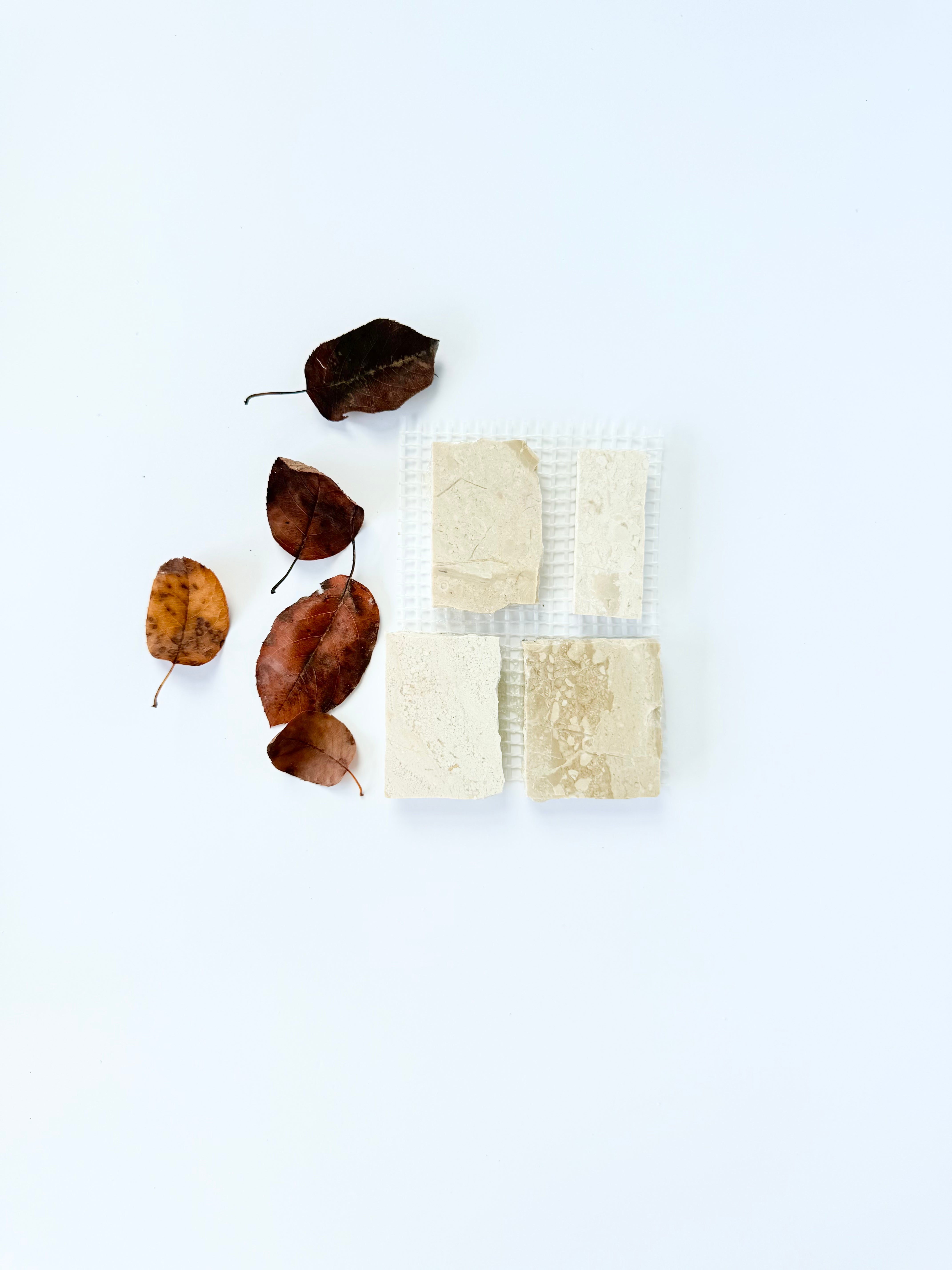 Four Scarpa I Golden Desert Mosaic Marble Mesh tiles by New York Cement Tile displayed with six dried brown leaves.