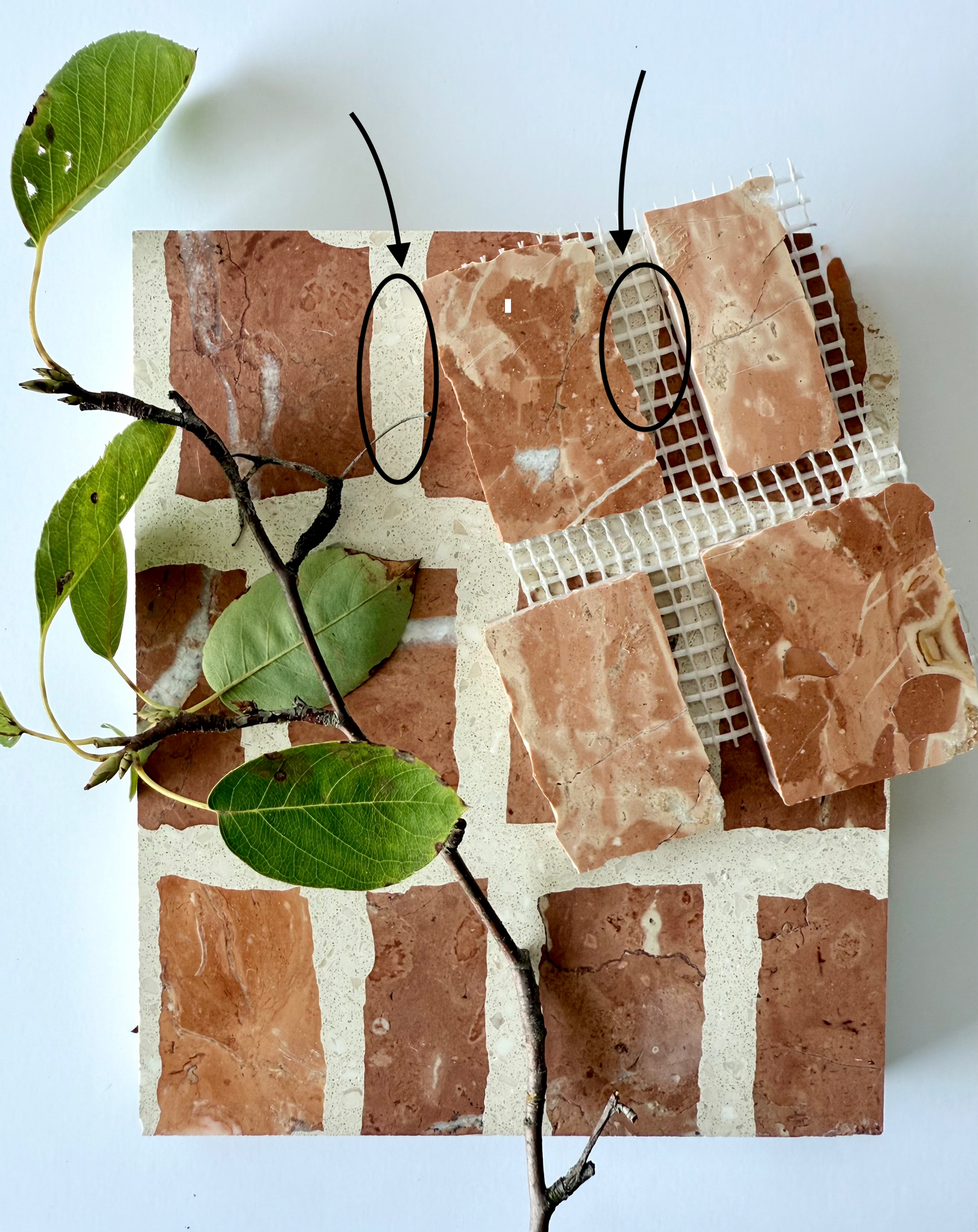 A branch with green leaves rests on Carlo Scarpa-Earth tiles by New York Cement Tile; two above are outlined with arrows.