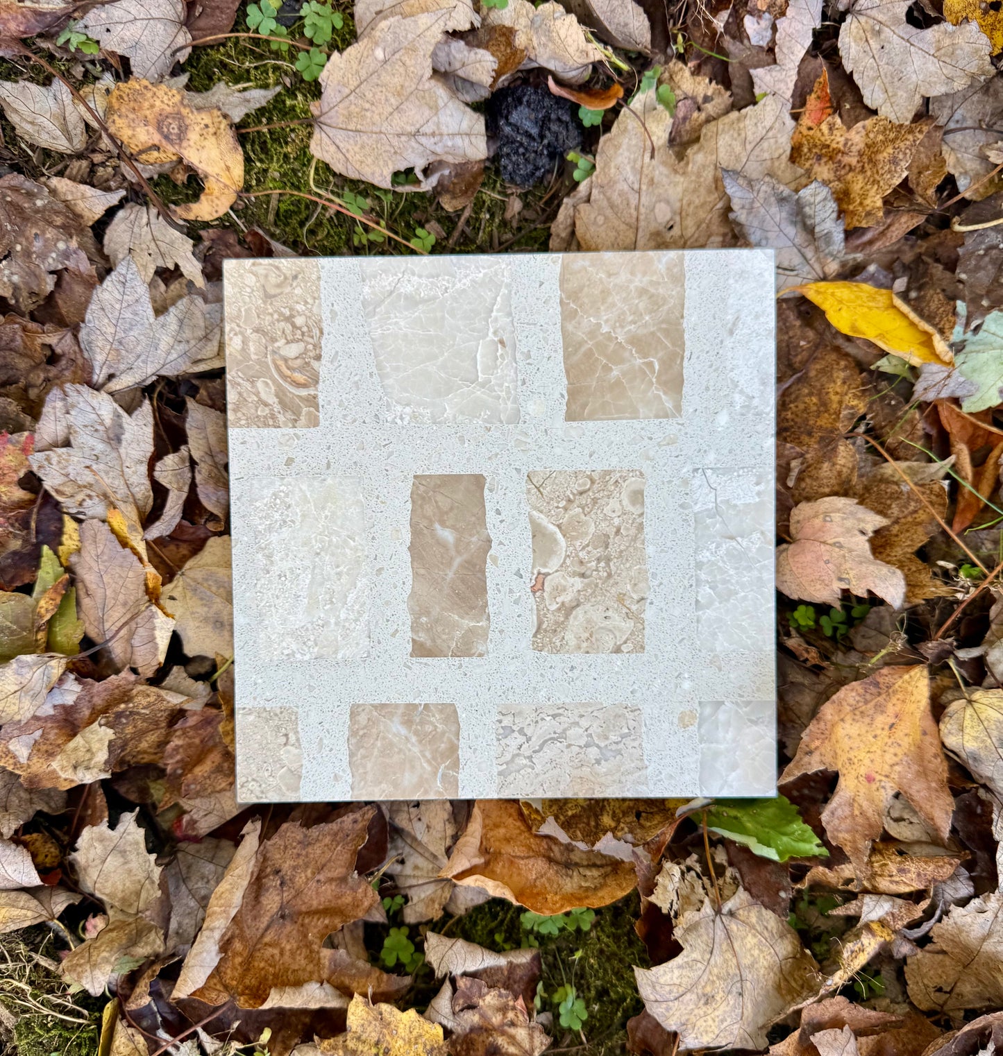 The Carlo Scarpa - Desert tile by New York Cement Tile, in beige and tan geo pattern, sits on autumn leaves and moss.
