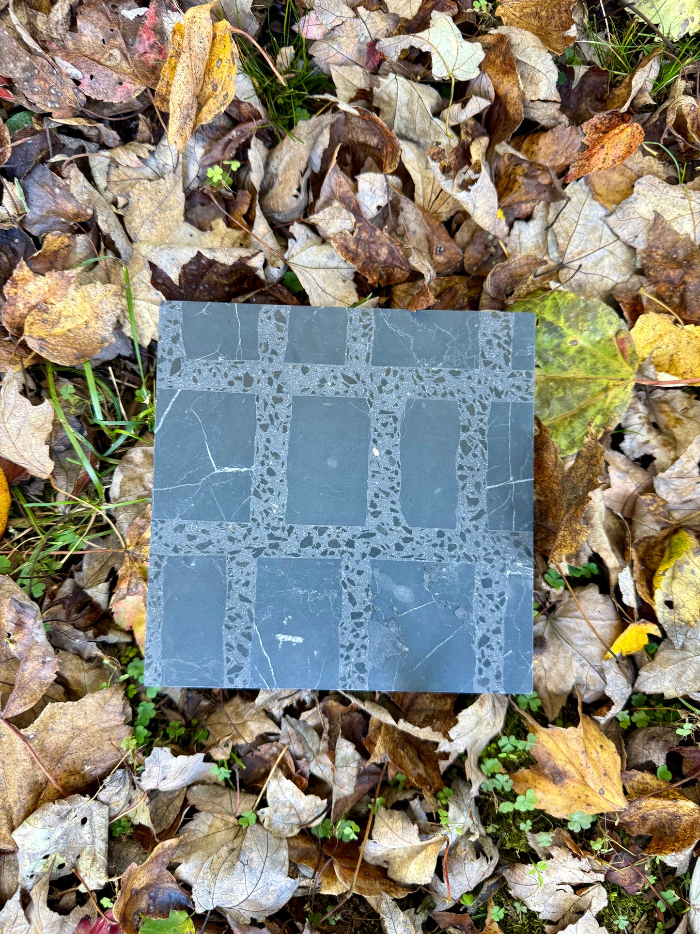 The Carlo Scarpa- Black tile by New York Cement Tile lies on the ground, covered in fallen autumn leaves.