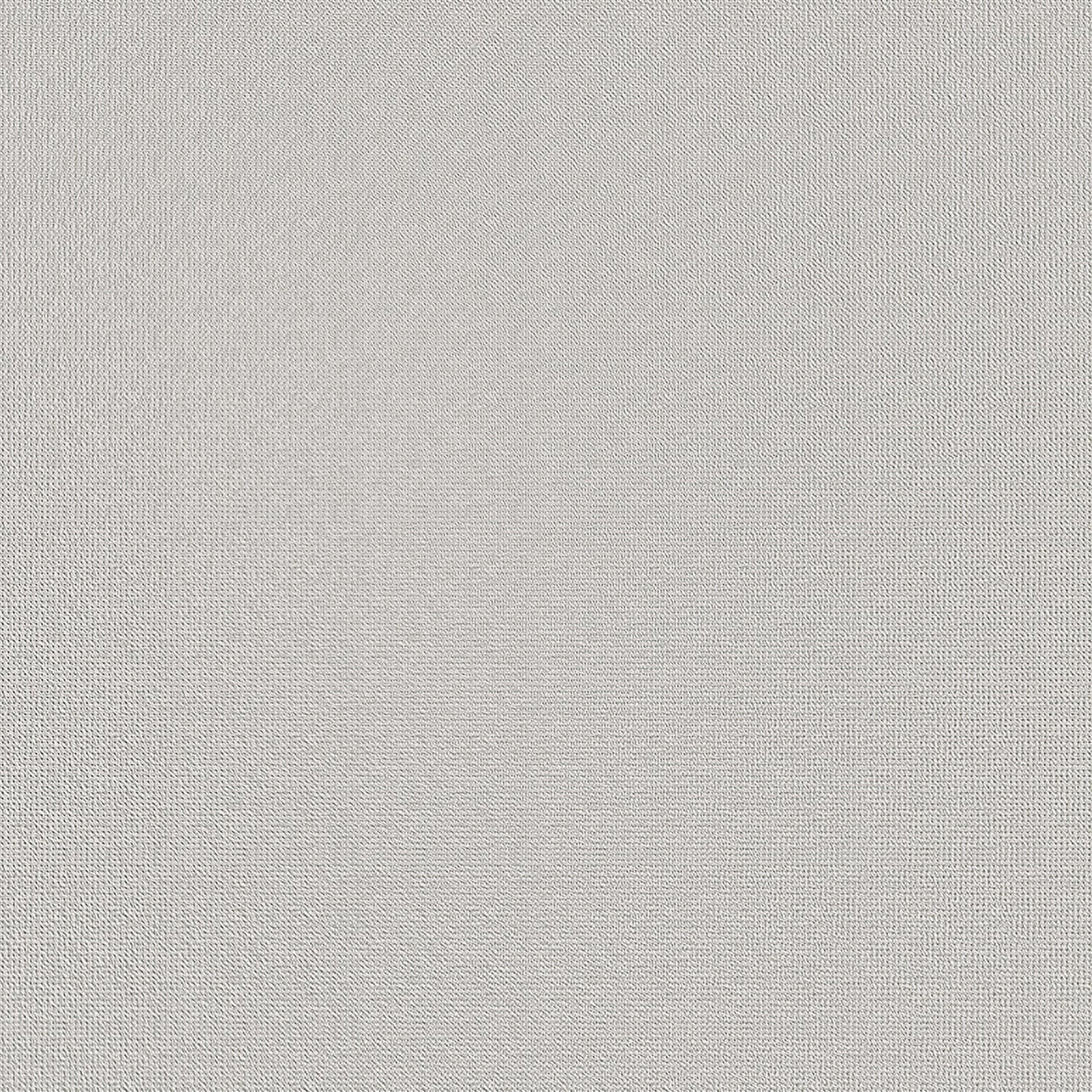 Light Gray Texture