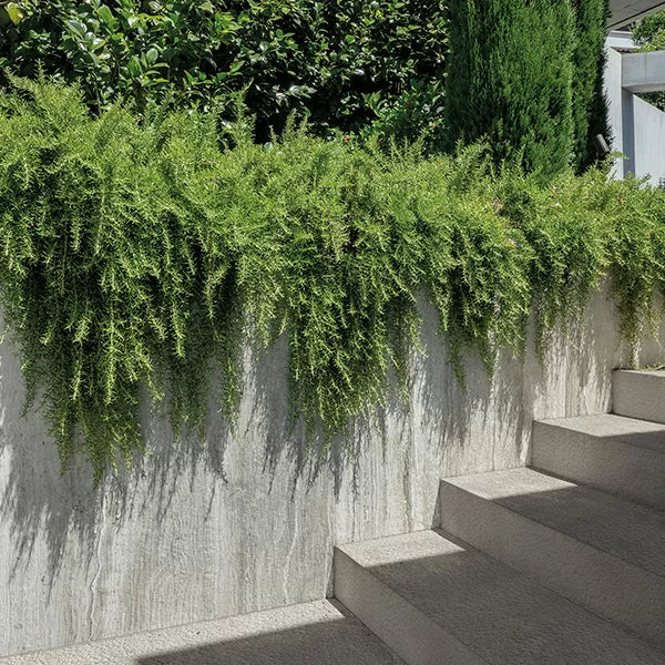 Platinum Veincut - Porcelain Pavers