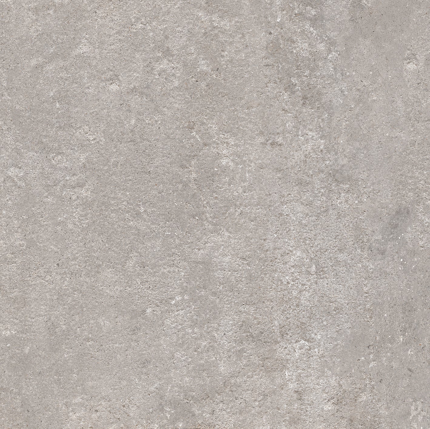 Gray - Perenne