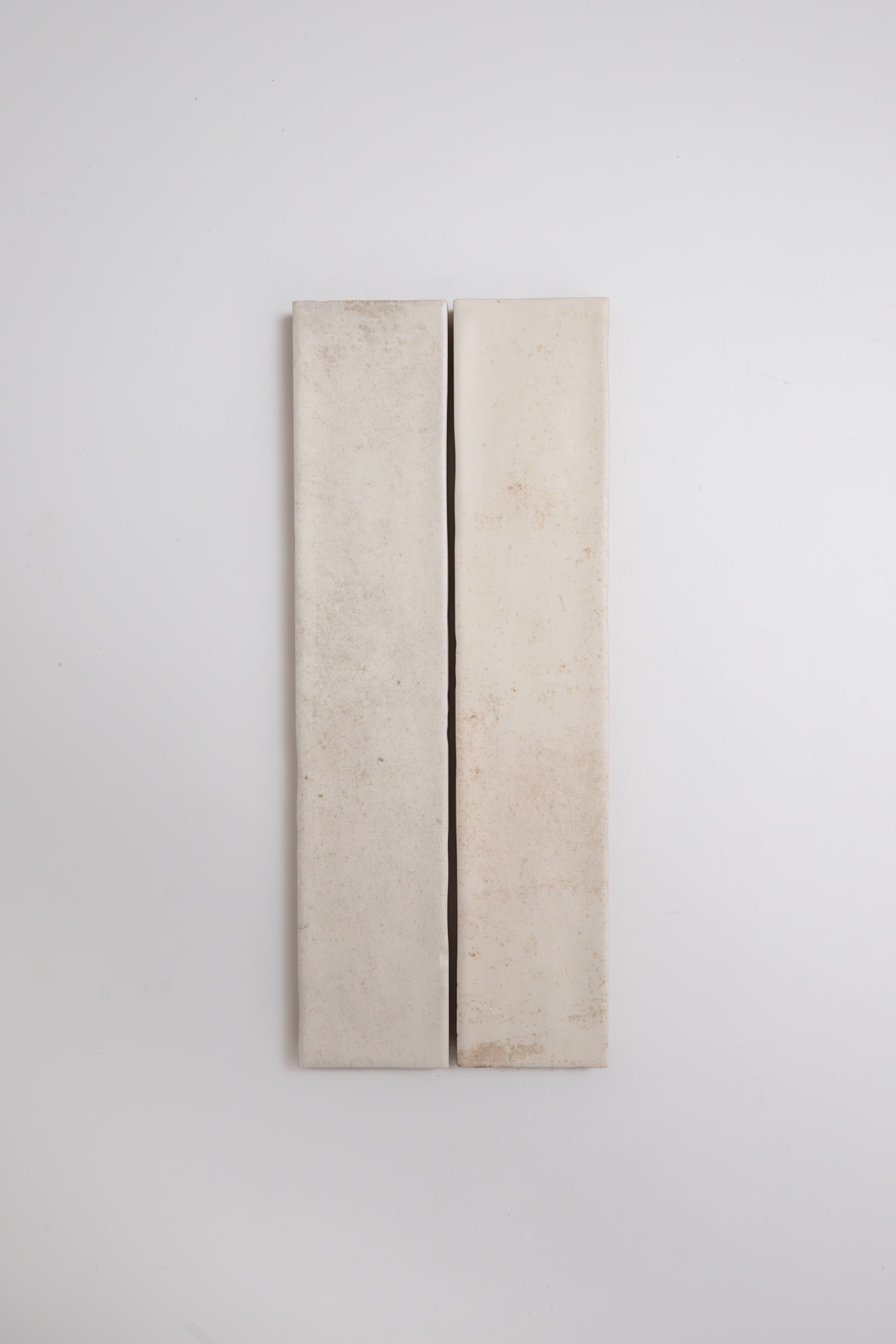 Cottage Ivy Snowshill White 2x10 Matte