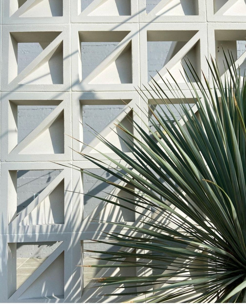 BREEZE BLOCKS LARGE