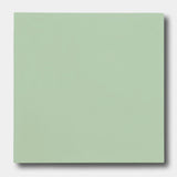 3300-Solid Light Green 8x8