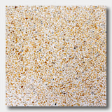 TERRAZZO 24X24-Cane