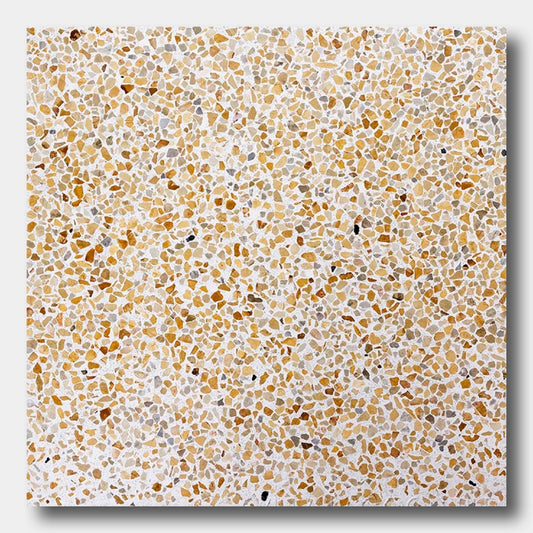 TERRAZZO 24X24-Cane