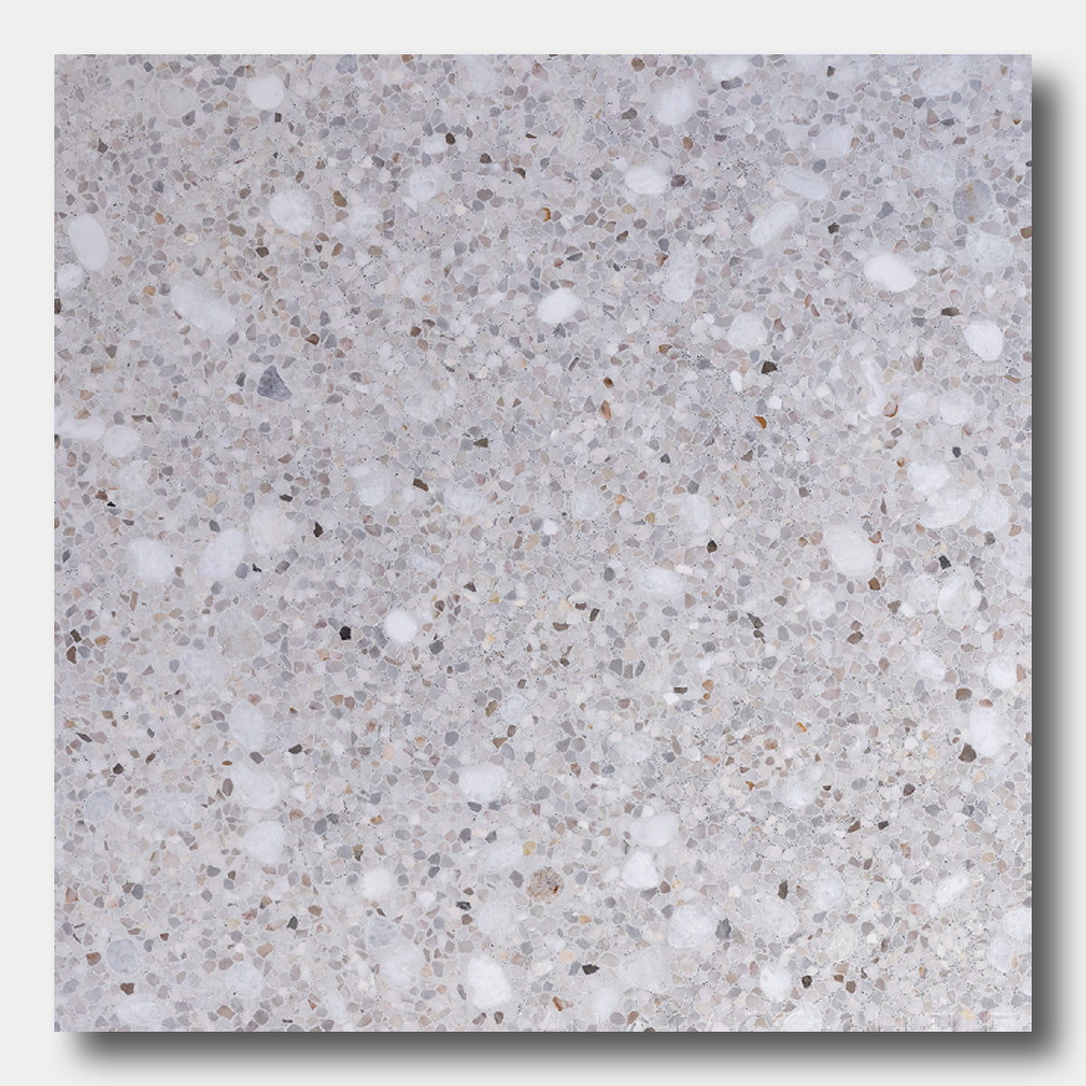 TERRAZZO 24X24- Pompano