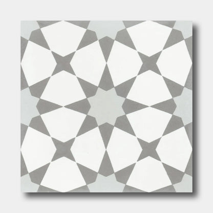 N20-271 Silver