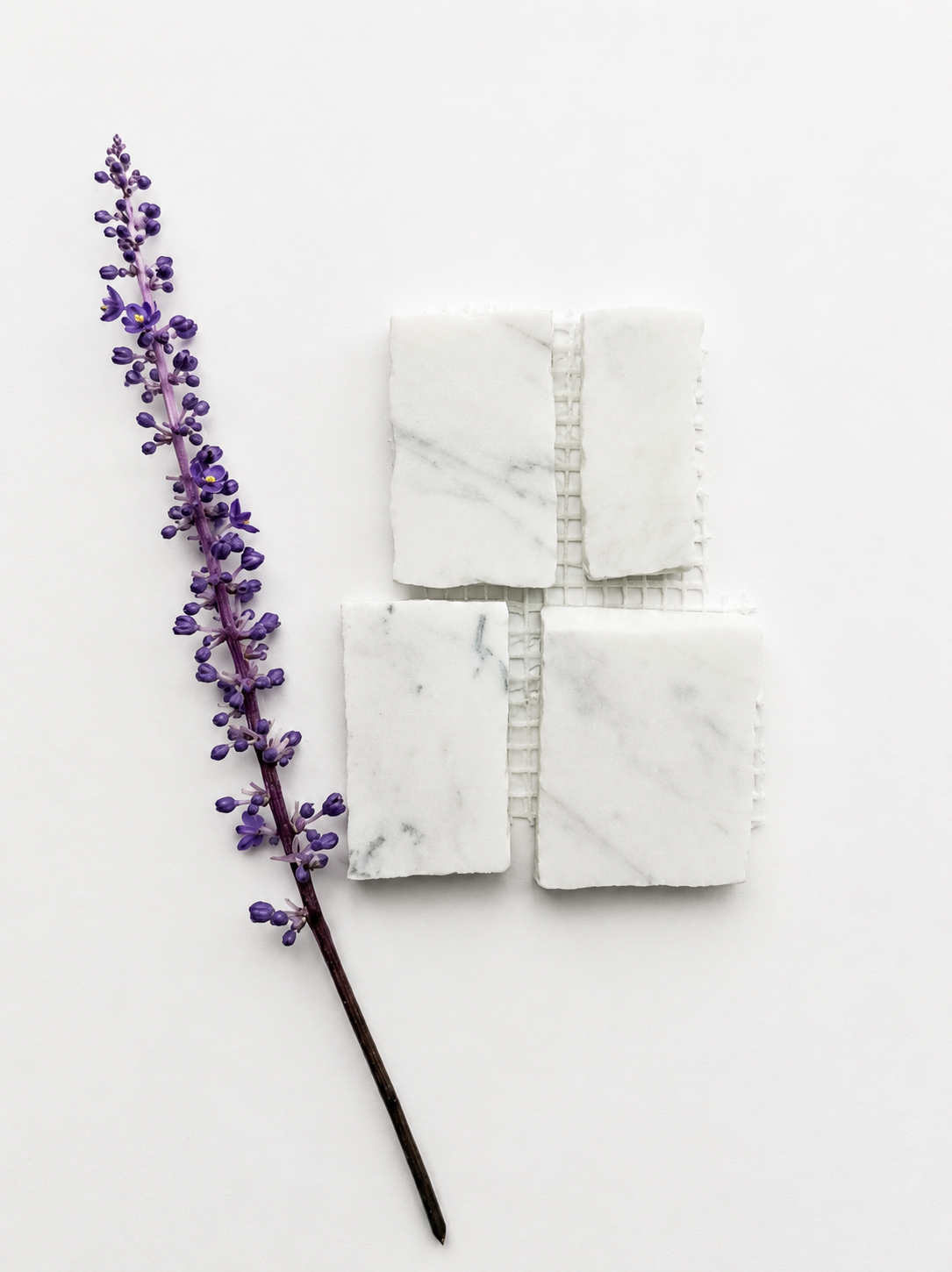 Scarpa I Carrara Mosaic Marble Mesh Standard Joint