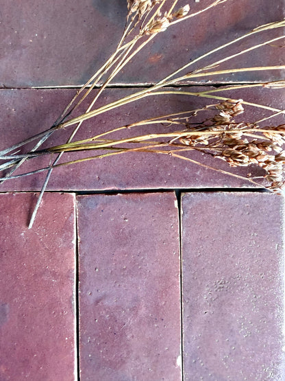 Thistle (2x6) tiles by New York Cement Tile, in a reddish-brown hue, are arranged in a rectangular pattern with dried stems.