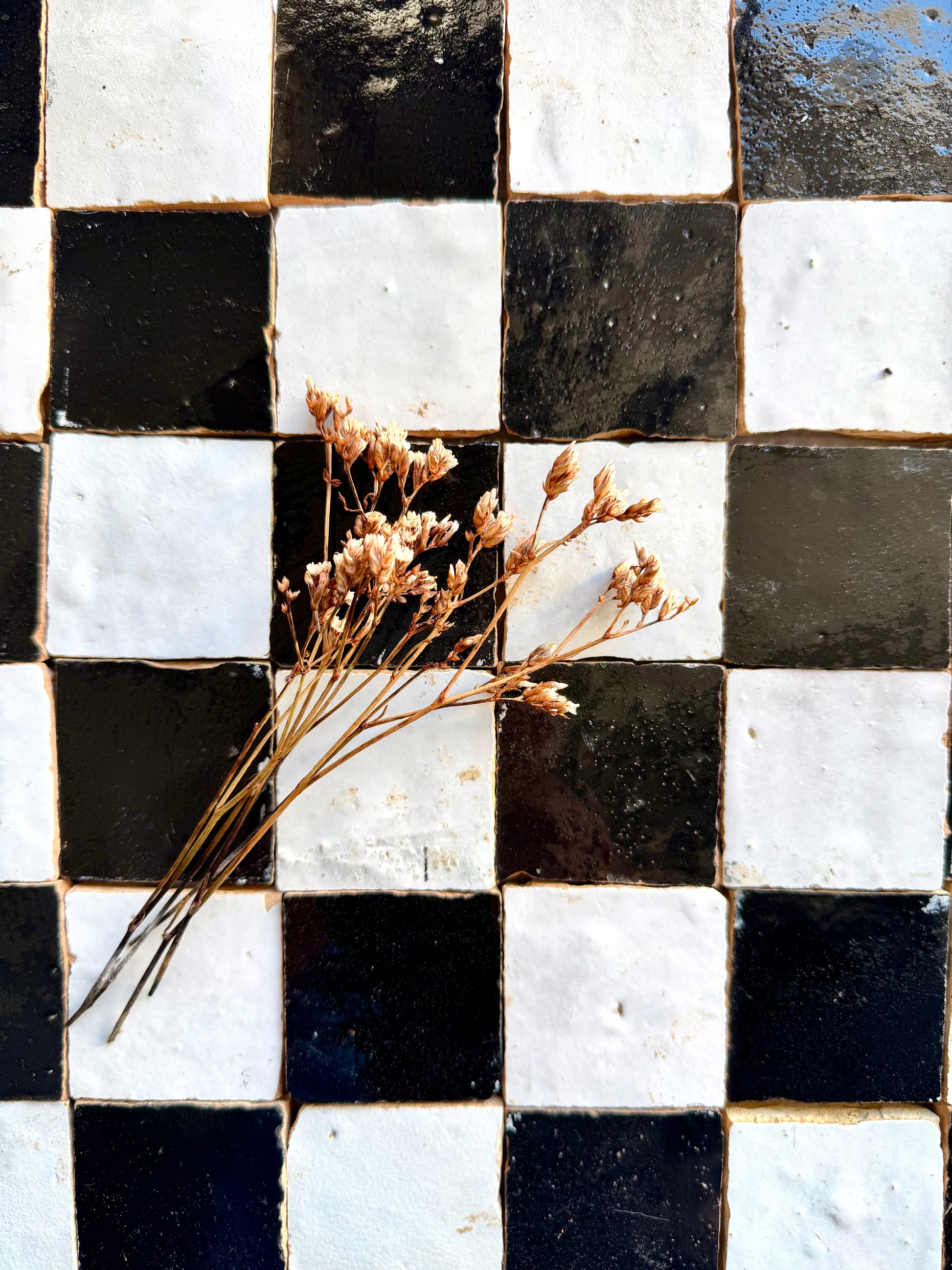 Dried flowers on a 2X2 Checkerboard Zellige in Ivory Cloud and Black by New York Cement Tile.