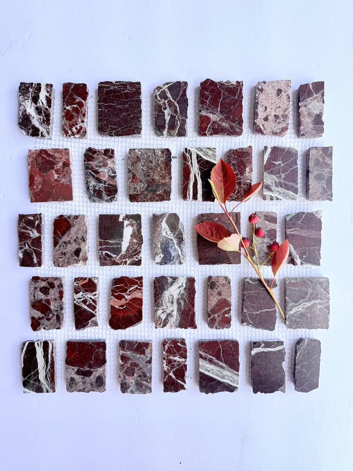 Scarpa I Red Jasper Marble Mesh