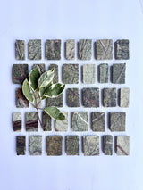 Scarpa I Forest Marble Mesh