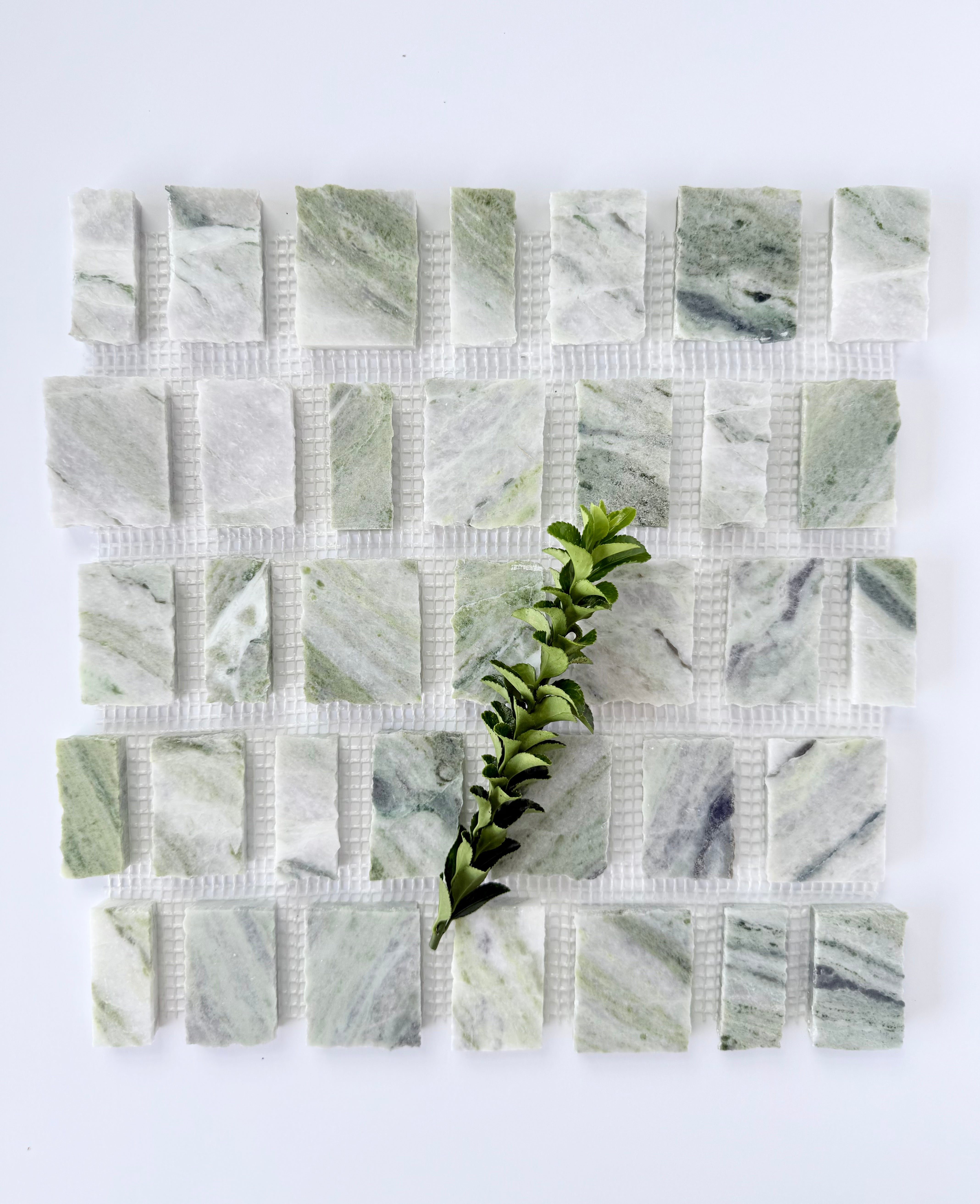 The Scarpa I Green Vibes Rough Cut Mosaic by New York Cement Tile with a green stem placed diagonally across the sample.