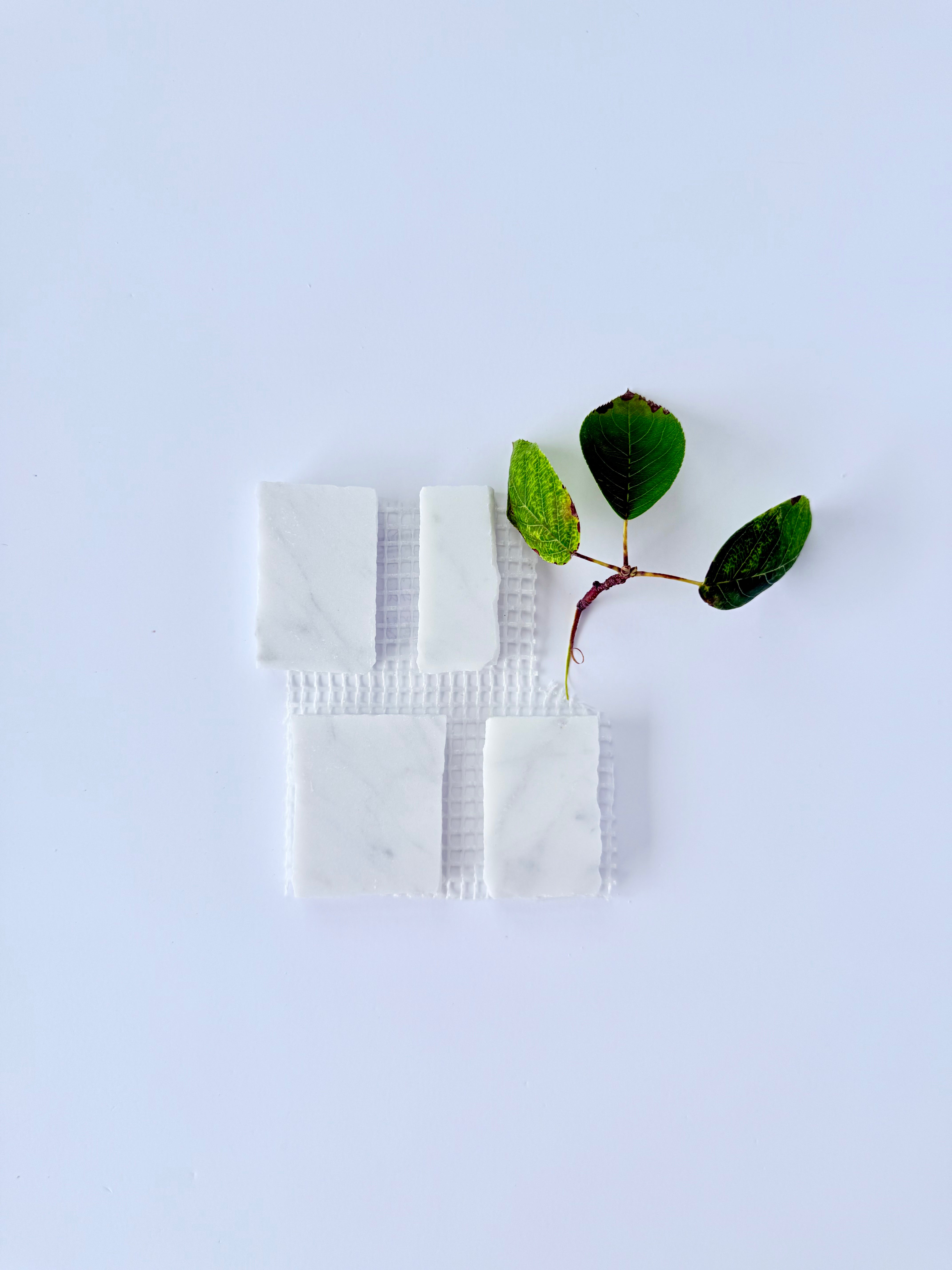 Four Scarpa I Carrara Mosaic Marble Mesh tiles by New York Cement Tile, inspired by Italian design, with a green leaf.