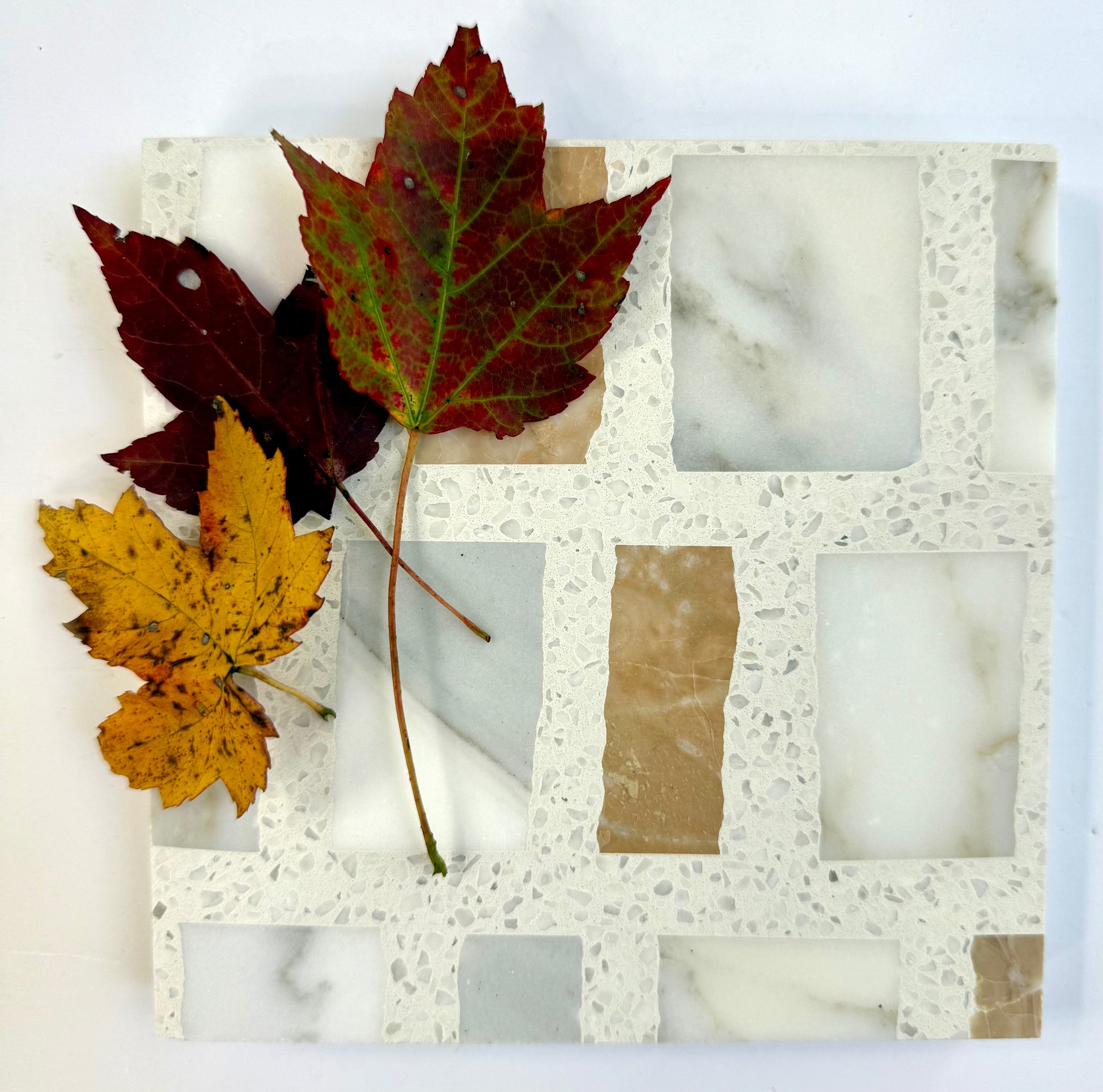 Two autumn leaves rest on a Carlo Scarpa - Mountain High tile by New York Cement Tile with geometric patterns.