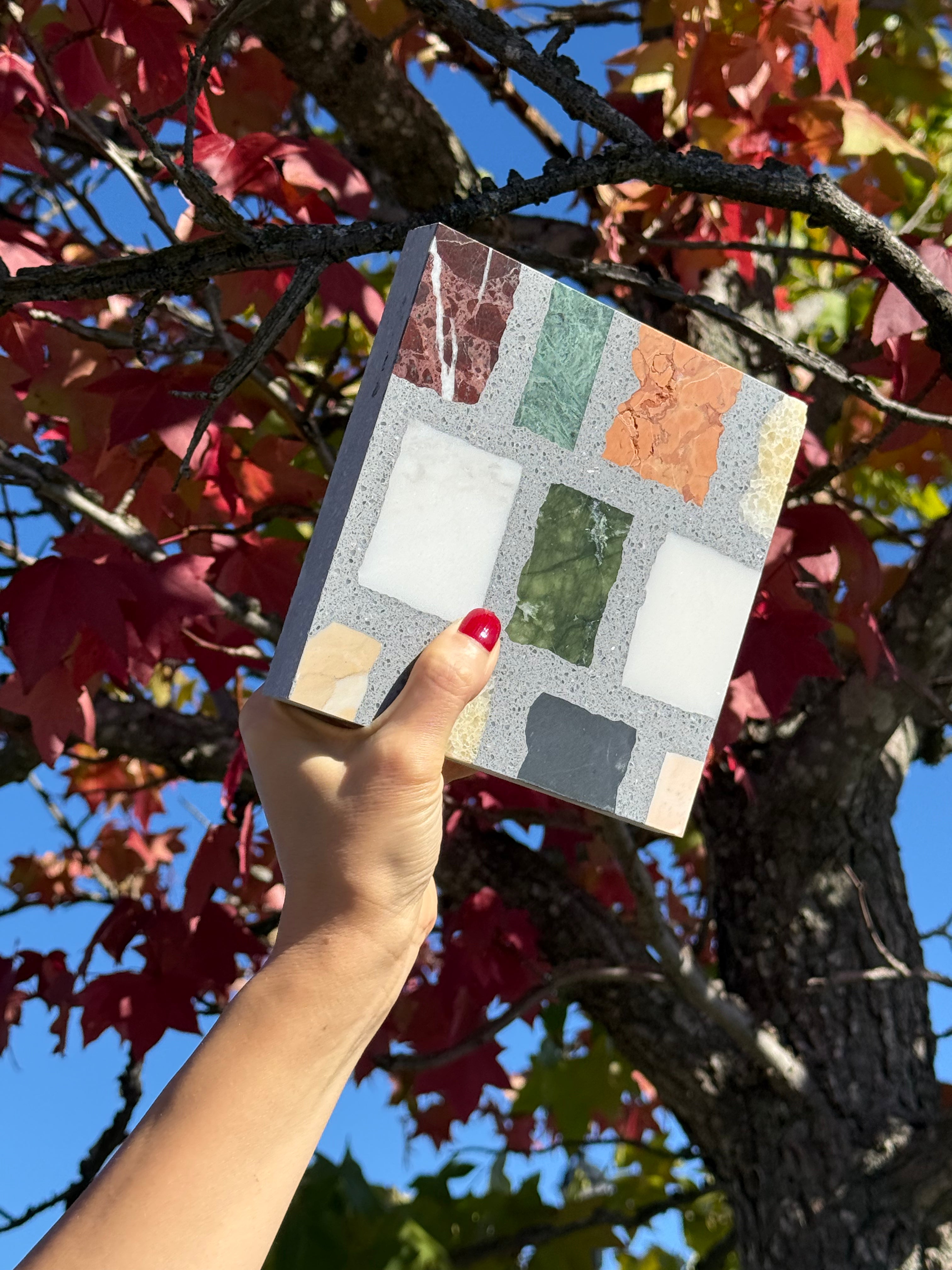 A hand with red nails holds the Carlo Scarpa- Multicolor Dark tile by New York Cement Tile against autumn leaves.