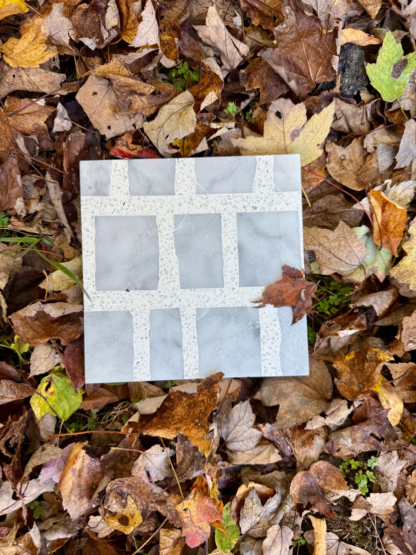 New York Cement Tile's Carlo Scarpa - Grey Dusk tile with a grid pattern lies on the ground among dry autumn leaves.
