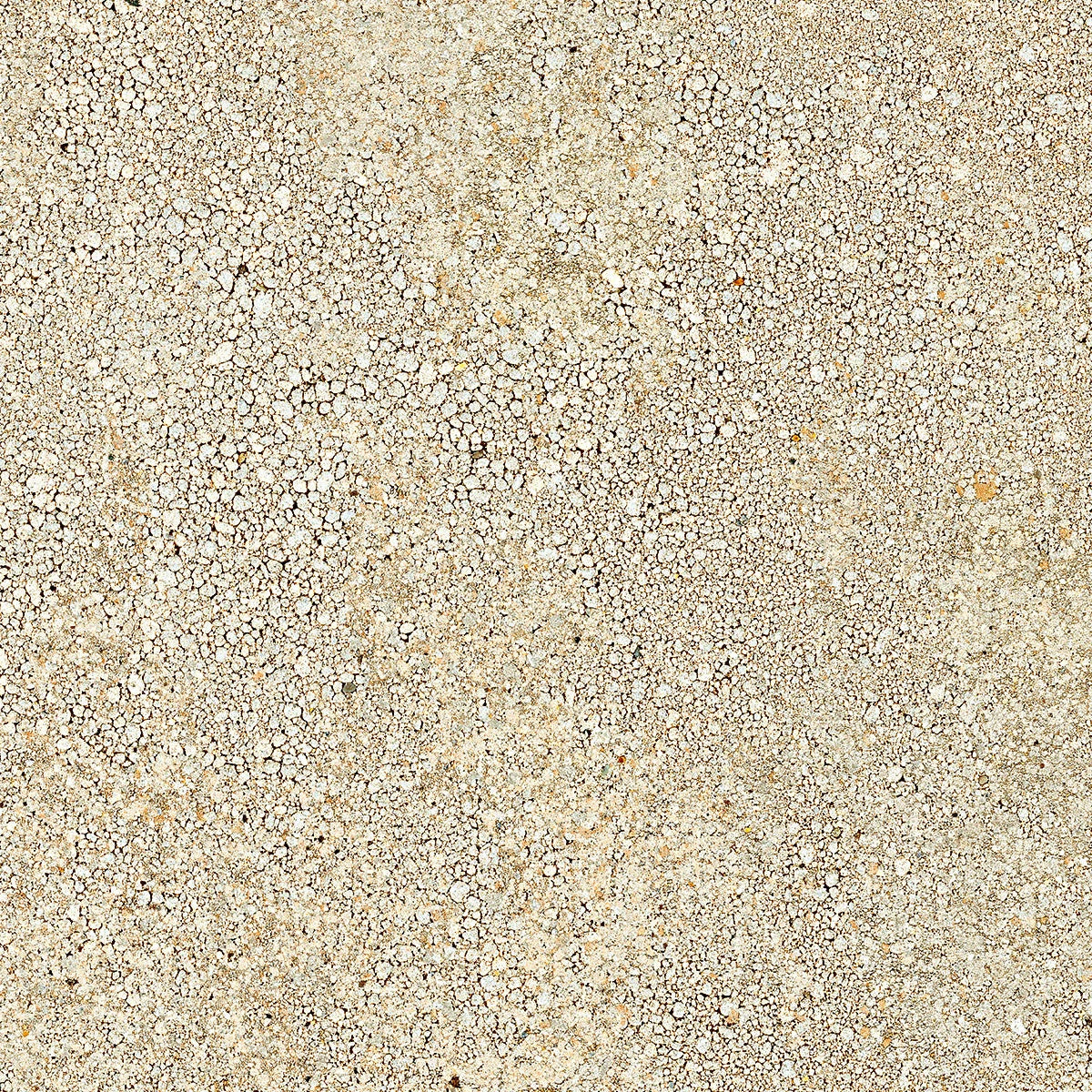 Close-up of Beach - Sample by New York Cement Tile, a rough beige concrete surface with small stones and pebbles.
