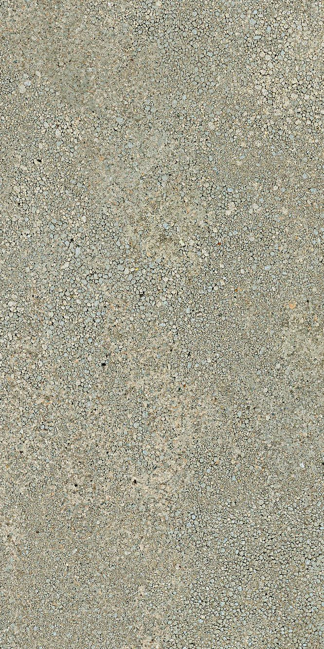 Close-up of Forest, Extra Sample by New York Cement Tile: rough gray concrete surface with natural tones and uneven texture.