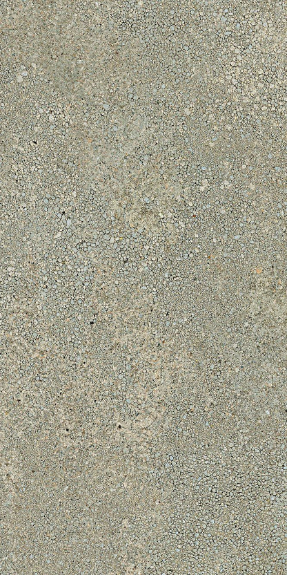 Close-up of Forest, Extra Sample by New York Cement Tile: rough gray concrete surface with natural tones and uneven texture.