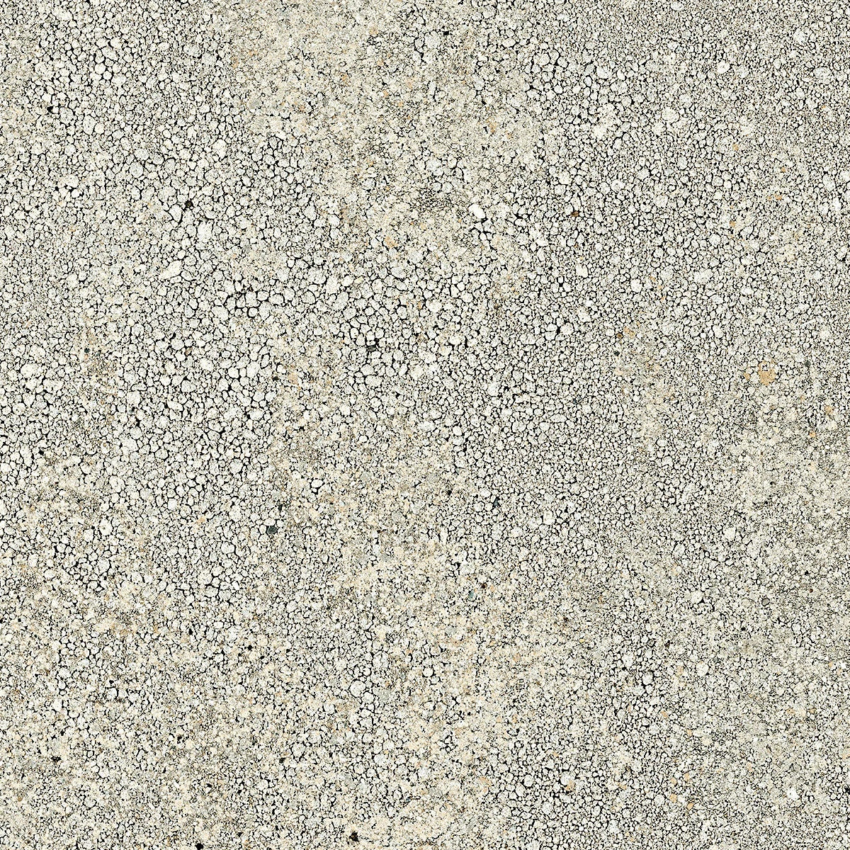 Close-up of Lake,Sample by New York Cement Tile: rough light gray concrete surface with natural tones and textured granules.