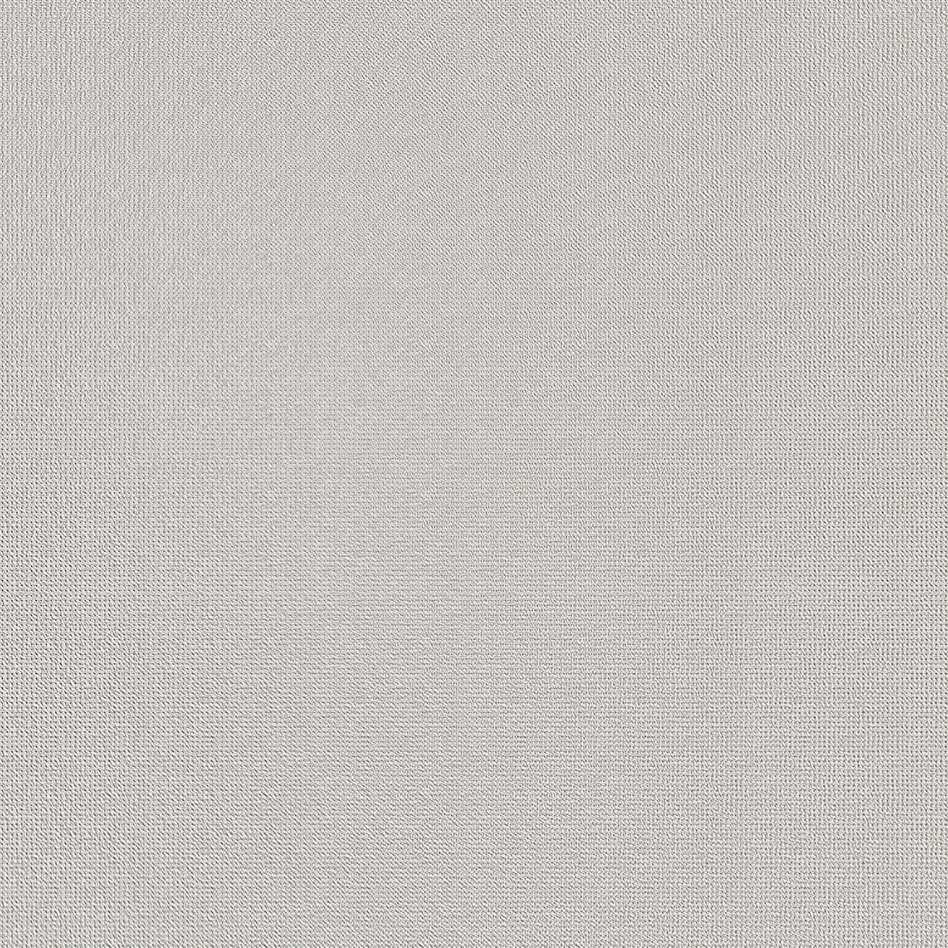 Light Gray Texture