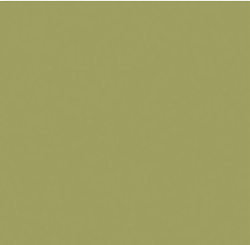 Solid sage green by New York Cement Tile, 4x4 sample. Sustainable design, no visible patterns or objects.