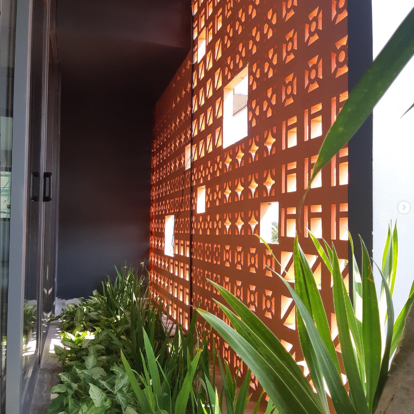 Sunlight filters through a patterned brick screen onto green plants beside a glass wall in a modern space.
