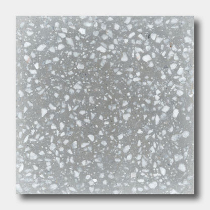 Terrazzo 12X12 - NT30-Urbanite