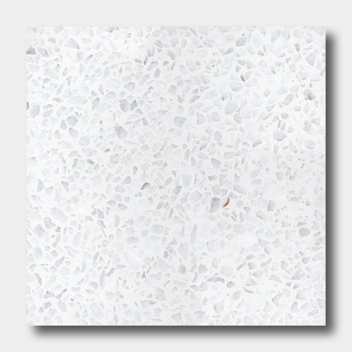 Terrazzo 12X12-NT30-Dew Drop