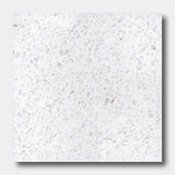 Terrazzo 12X12-NT30-Dew Drop