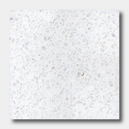 Terrazzo 12X12-NT30-Dew Drop