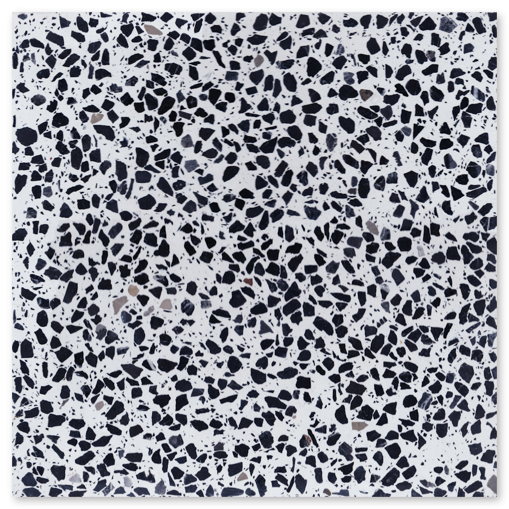 New York Cement Tile's Terrazzo 12X12-NT30-Leopard Extra Sample features a white surface with black and gray stone chips.