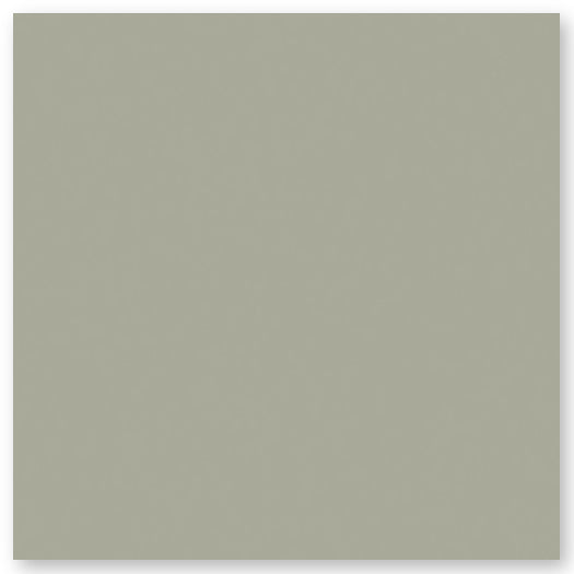 A plain, solid light grayish-green square with a subtle texture and no other visible features.