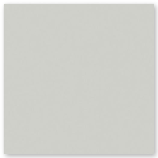 A plain, light gray rectangle with a subtle shadow along the right and bottom edges.
