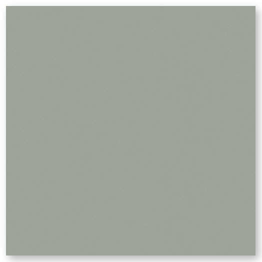 A solid, muted sage green square with a smooth texture and no distinct patterns or features.