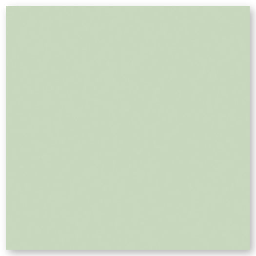 A plain, light pastel green square with a soft, matte texture and no visible patterns or designs.