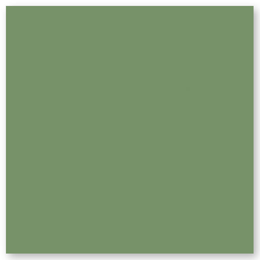 A plain square with a solid sage green color and a slight shadow on a white background.