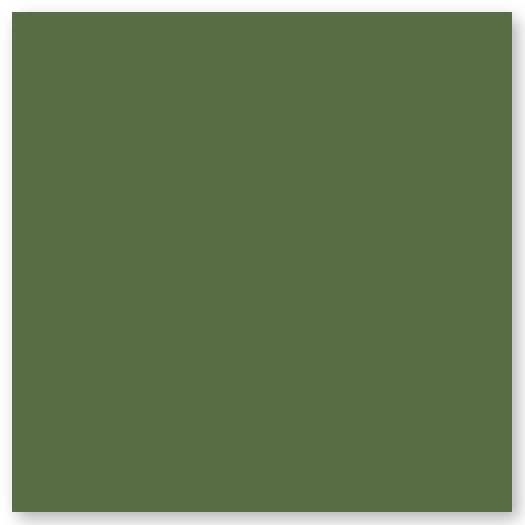 A plain square filled with a solid olive green color and a thin white border around the edges.