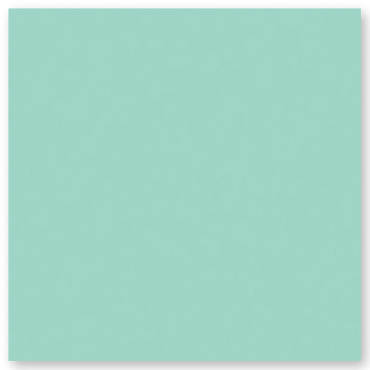 A plain, solid light teal square with no patterns or distinguishing features.