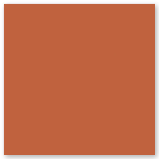 A plain square filled with a solid burnt orange color, with no visible patterns or textures.