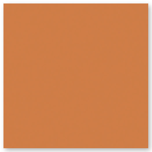A solid, flat square of medium brownish-orange color with no patterns or details visible.