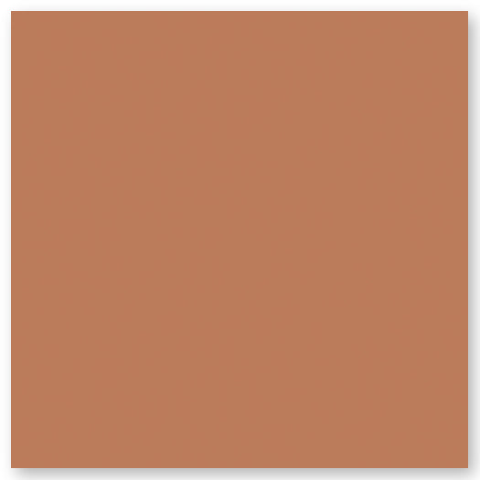 A solid, flat square filled with a medium brownish-orange color, resembling terra cotta.